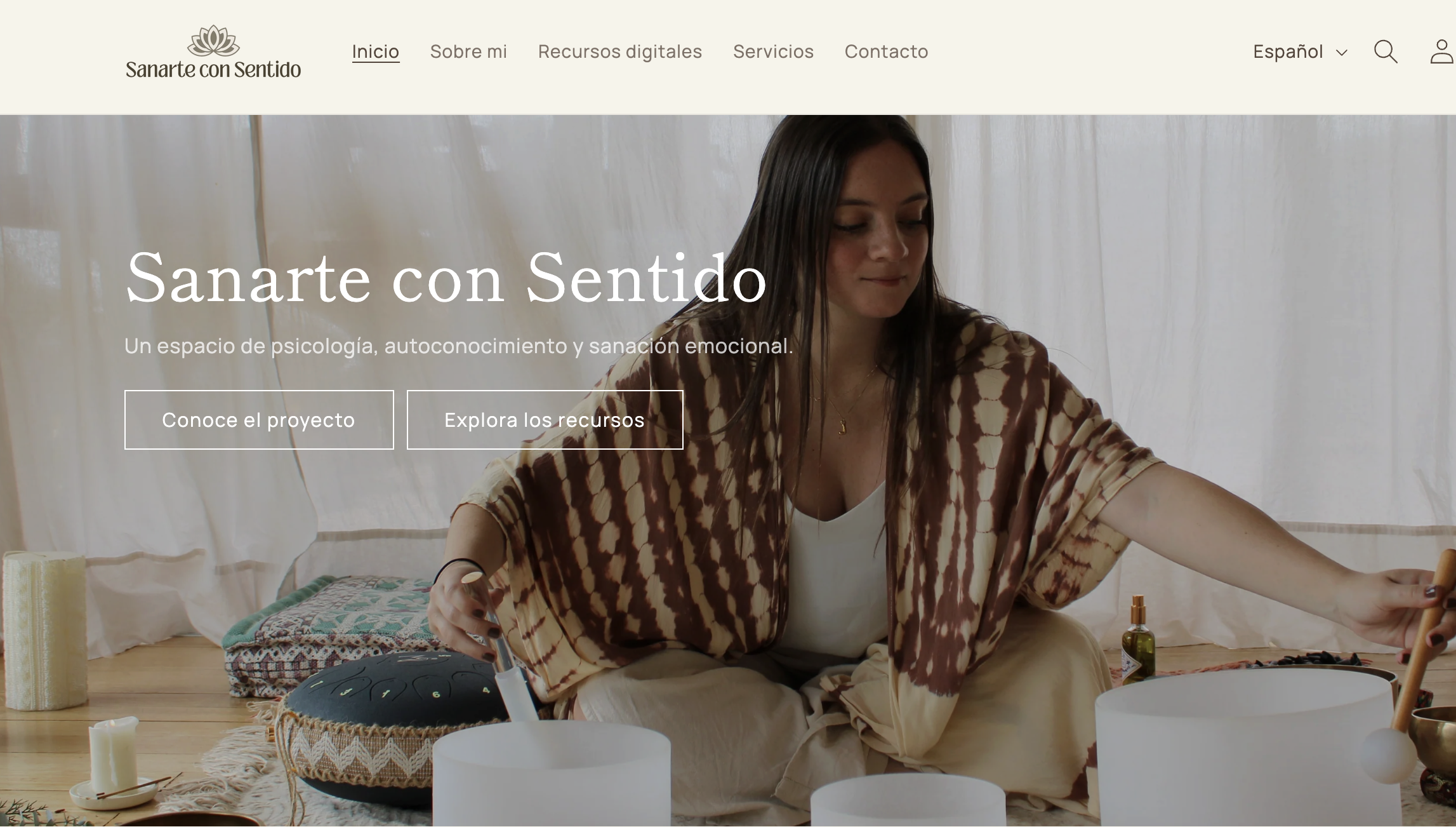 Shopify Store Development